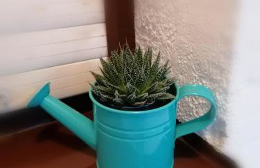 Studio apartment Meli - Foto 42