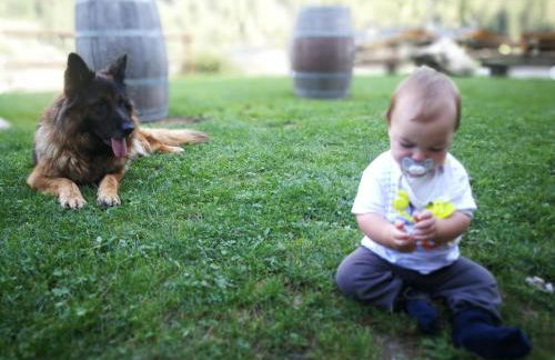 Agriturismo Alle Baite - Foto 66