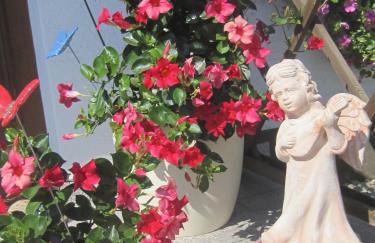 Erwachsenen Aparthotel DER WIESERHOF Wunderschöne Einzellage - Foto 51