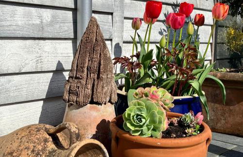 Cobblers Lodge - Photo 21