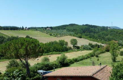 La Gufaia - holiday house with private pool near Florence - Foto 32