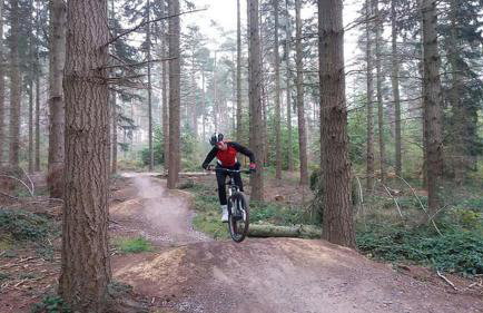 Sissinghurst Stables A comfortable country home in the Garden of England and just one hour from London - Foto 36