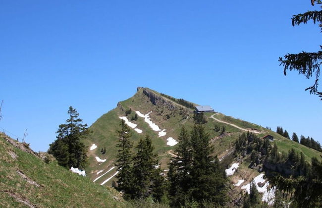 Hochgrat View in Steibis, Haus Akelei - Photo 29
