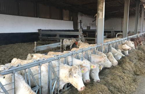 Ferienwohnung auf dem Bauernhof in Hachenburg Hof Kleeberg I Man kann ein Appartment mit Bad zubuchen - Foto 22