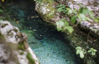 Agriturismo Bon Tajer - Foto 20