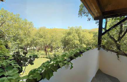 Agriturismo Le Sughere - Foto 15