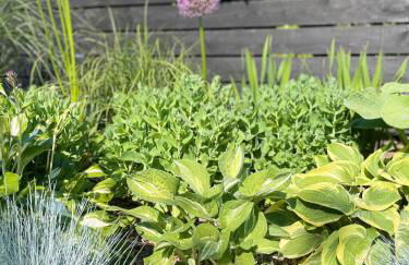 Weberhof - Münster 3 - Foto 58