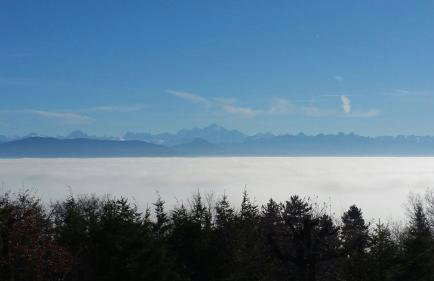 Cozy Villa close to CERN, Geneva Airport, UN - Foto 16