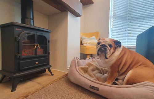 Potts House - Hornsea on the Yorkshire coast - Foto 30