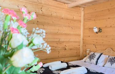 Pensjonat Dzianiszówka - Basen Jacuzzi Sauna - Foto 64