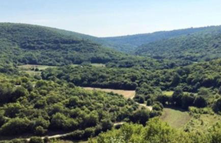 Beautiful Villa Jadreska with pool in Kanfanar - Foto 22