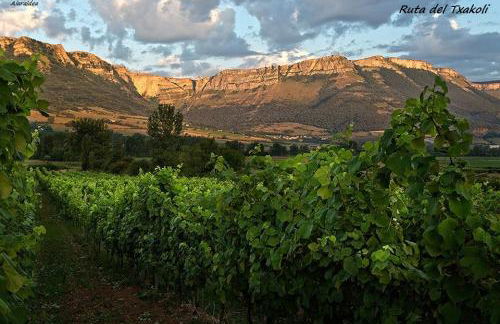 Mendiko Baserria - Foto 40