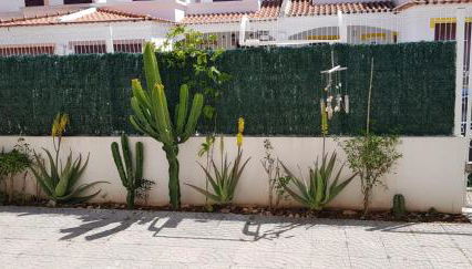 Apartamento Altura II - Foto 3, Garden