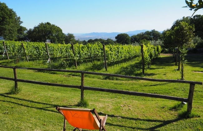 Valdonica Winery & Vineyard Residence - Foto 68