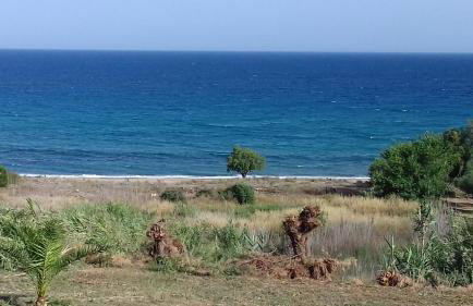 Margarita House - Photo 34