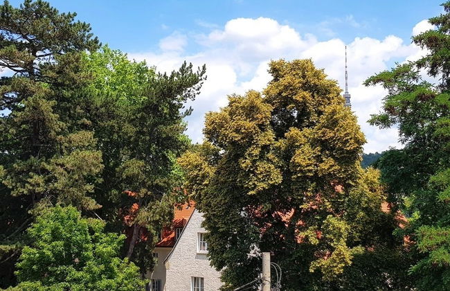 Apartment Elbhangblick - Apartment for 2 - 3 Persons - Foto 13