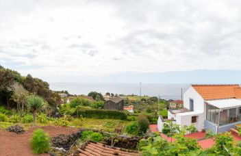 Lobo do Mar - Photo 15