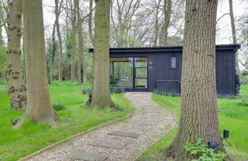 The Woods - Luxury cabin in a woodland setting - Foto 13