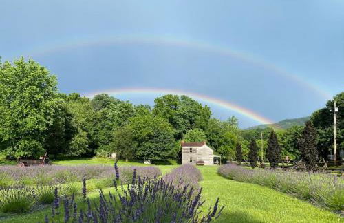 The Bears Den at La Soledad - Foto 7