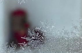 Appartements Wiesenheim - Foto 47