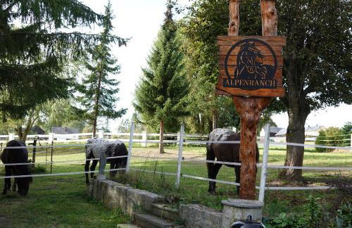 Alpenranch - Foto 20