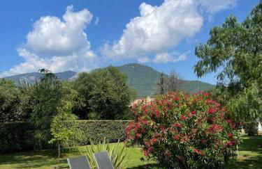 Location à Porto Vecchio - Foto 6