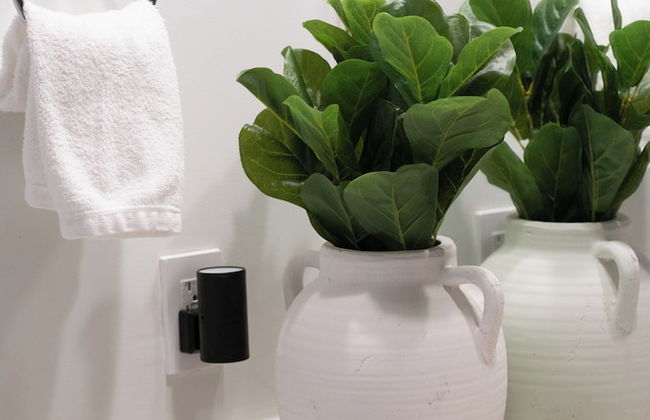 Monte Carlo by Miami Vacations - Photo 50