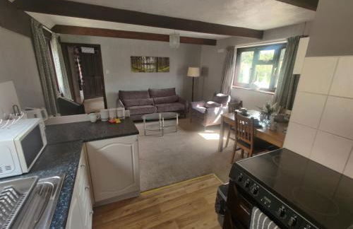 Birds Farm - Foto 12