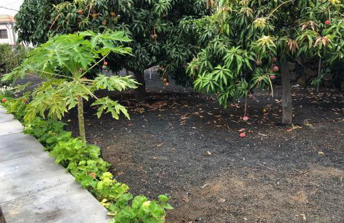 Casa Rural Los Frailes - Foto 19