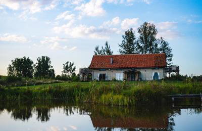 Zielna Farma - Foto 51