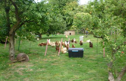 Hopewell self-catering - Foto 44