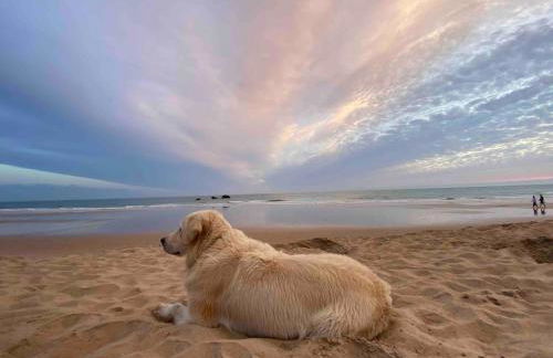 Casa 77, la playa más bonita a 150 metros - Foto 9