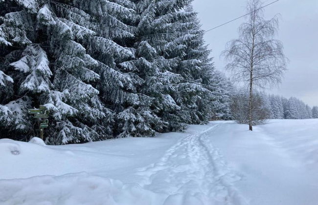 Cozy Holiday Home in Großbreitenbach near Schwarza Valley - Foto 24