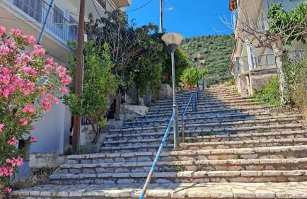 Heirlooms and Halos - Foto 50