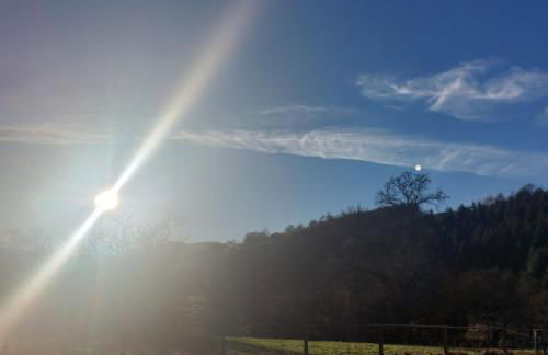 Owl Cabin - Photo 19