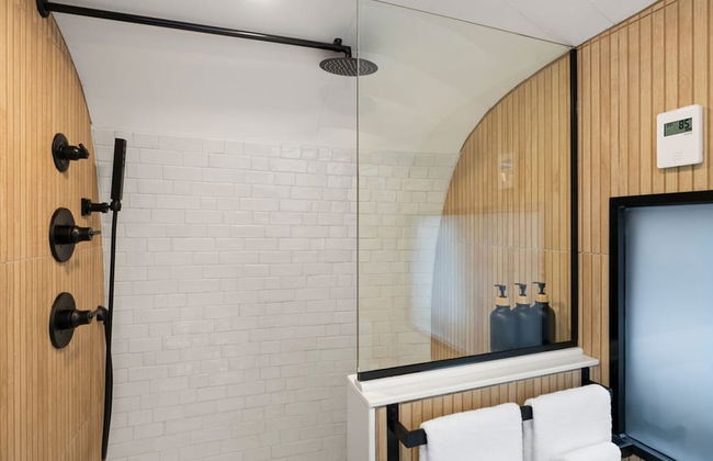 Silver Fern in Pisgah Forest - Foto 4