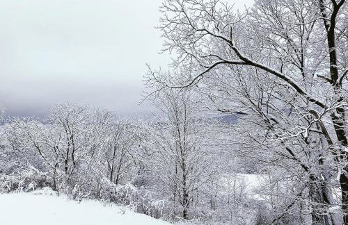 Historic Colonial in the Heart of Ski Country - Foto 18