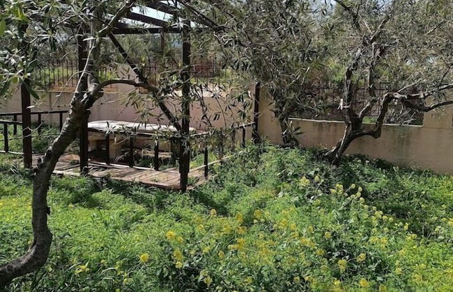 Foivos and Athina Villas - Foto 44