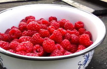 Chata w Ciszy - Foto 15