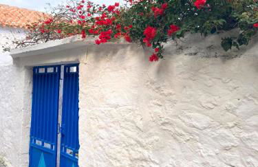 THALASSA New house - Foto 1