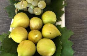 Apartmani Harmonija - Foto 27