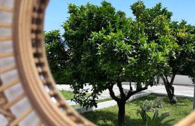 Zoel's House in Chalkidiki - Foto 23