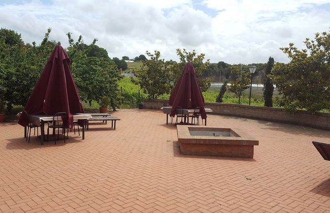 Azienda Agricola Sinisi - Foto 26