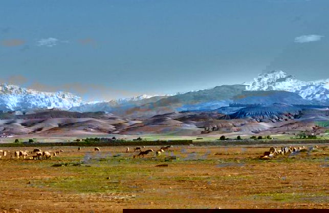 Chez kossai - Foto 21