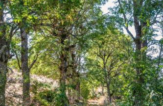 Gîte Gîte Les Bouteillers 6/8 personnes - Foto 18