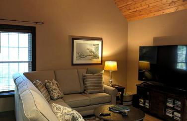 Spacious Mountain Retreat with Bonus Game Room Near Asheville, Barnardsville, NC - Foto 70