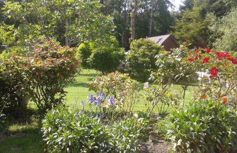 Au gite du bois d'amour - Foto 15