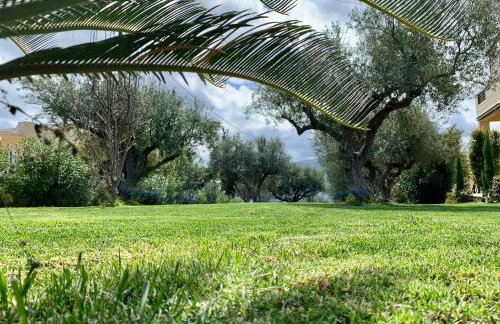 Aggelos and Thisbe Chania Suburbs Sea View Guest House - Foto 36
