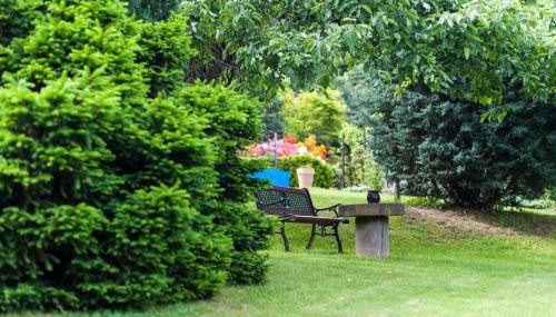 Agroturystyka Wzgórze Magnolii - Foto 4