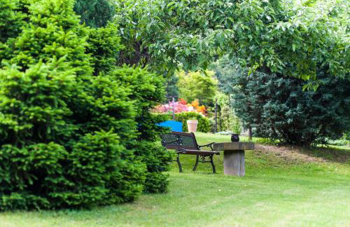 Agroturystyka Wzgórze Magnolii - Foto 4